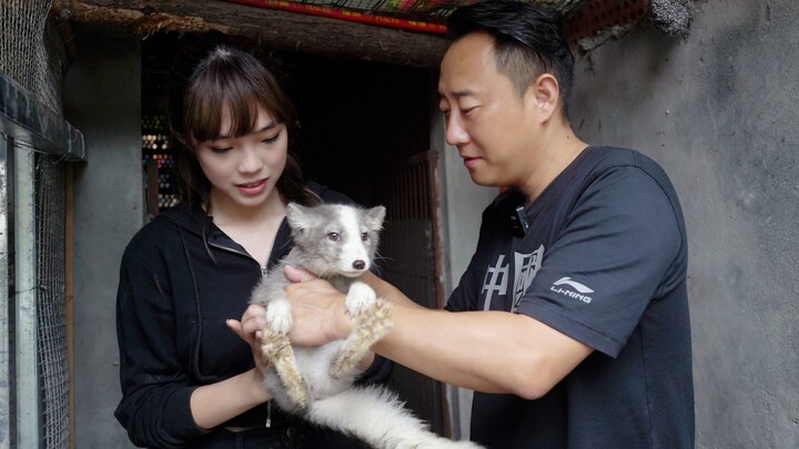 Đàm Sir: Cuối Cùng Tôi Cũng Hiểu Cho Trụ Vương Rồi