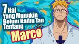 7 Hal Yang Mungkin Belum Kamu Tau Tentang Marco | Fakta One Piece [Belum Wibu]