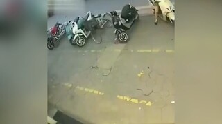 Những tình huống rơi mất não 😂😂😂