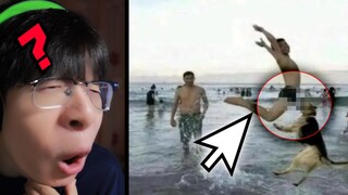 【梗文梗图】以前他叫大鹏，现在他叫大朋。