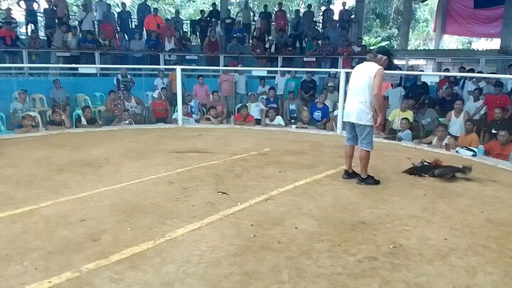 CHAMPION 🏆 gyud sa Mabini Bohol