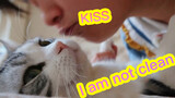 Feel Bad To Beat Your Guilty Cat? Then Kiss It Like Crazy!