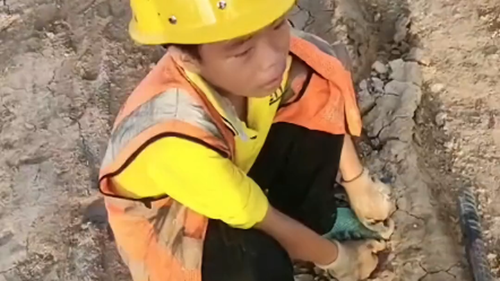 Đứa trẻ chín tuổi không biết đọc, và hành vi của cha cậu bé y hệt sách giáo khoa. Đây chính là hậu q