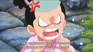 ketika luffy dibilang gak sopan😂