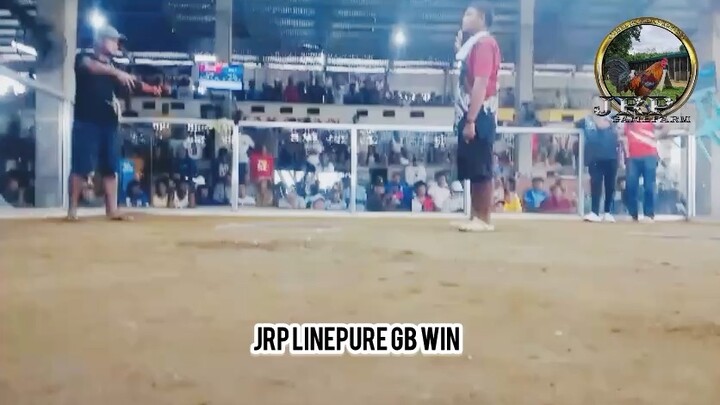 WDWLL  Sabong Idol Finals! AEJ GF line MT Banahaw Lines!