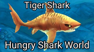 Hungry Shark World (Tiger Shark) #BstationGamers #bestofbest