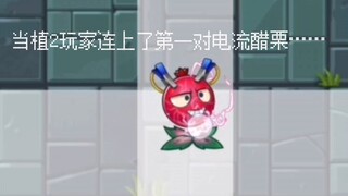 当植2玩家连上了第一对电流醋栗……