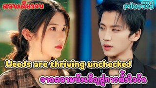 เมื่อนักศึกษาสาว ต้องดูแลเด็กม.ปลาย  ที่ไร้ญาติ ความสัมพันธ์  ที่เป็นมากกว่าผู้ปกครอง #สปอยซีรี่ส์