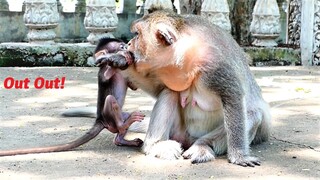 Ah Heartbreaking! Mother Barry Warning By Pushing Him Out, Baby Bean Disturbs Barry