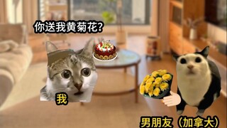 你外国男朋友的脑回路