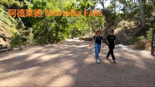 阿德莱德 Morialta Falls