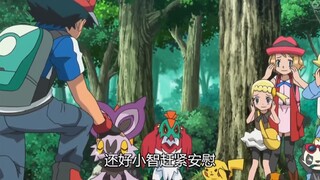宝可梦xy