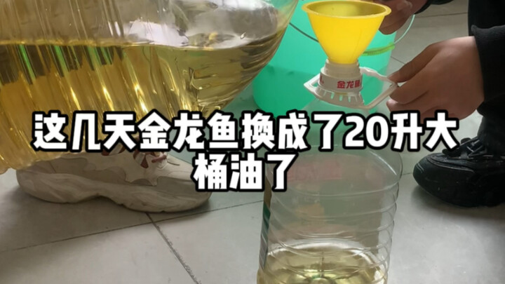 Hari ke-11 aku menggoreng jamur di pinggir jalan setelah terlahir kembali: Aku benar-benar nggak kua