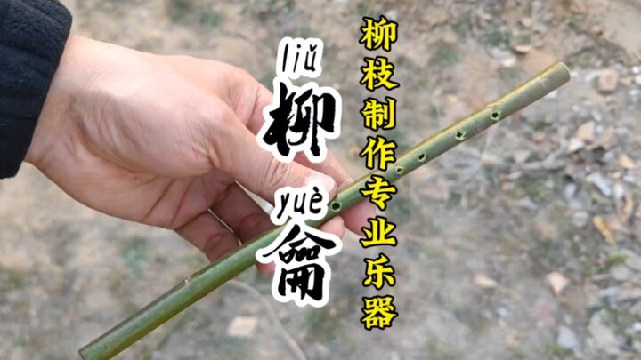 “柳龠”捡来柳枝制作专业乐器，全网首创孤品柳龠，以柳枝复刻九千年古龠 #柳龠 #龠 #柳龠制作过程#柳笛 #贾湖骨龠 #贾湖骨笛 #自制乐器手工 #DIY乐器