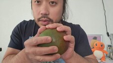 ASMR MANGO & MANGO YOGHURT (EATING SOUNDS + BOWL LICKING)