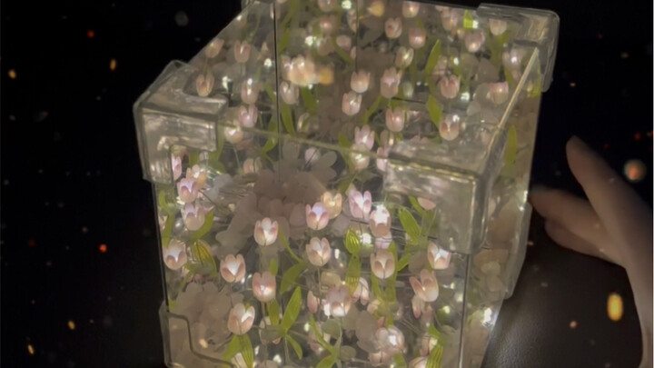 Ban đầu thì bình thường thôi, ai ngờ bật đèn lên…