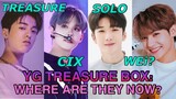 YG TREASURE BOX: WHERE ARE THEY NOW? | Who DEBUTED, LEFT, AND REMAINED? (Latest Update!)