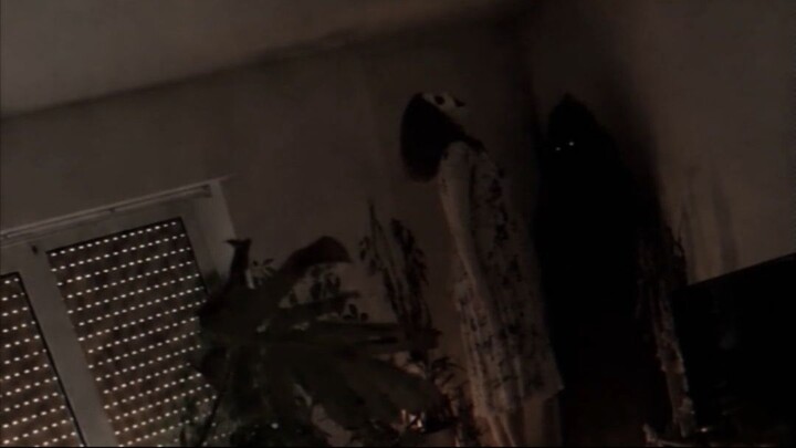 My ghost wife caught me cleaning…