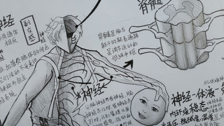 面对画完的手抄报，老师给出的评价是……
