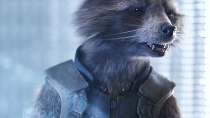 Mengapa Rocket dalam “Avengers: Endgame” berani mencemooh kecerdasan Iron Man? Sebenarnya seberapa p