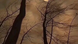 Beautiful moon view🖤🖤🖤🖤