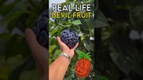 Buggy’s Devil Fruit IN REAL LIFE!