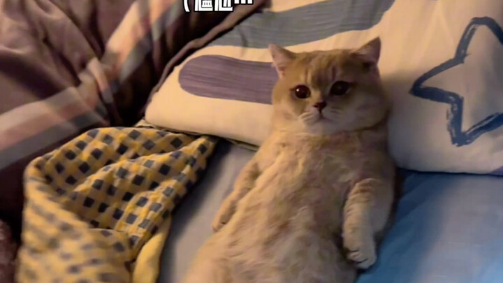 小猫：你怎么这么早回来啊