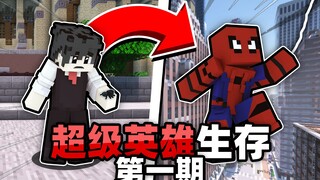 我居然能在*我的世界*里体验*超级英雄*!!!???