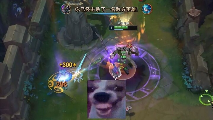 Nasus Gwyn