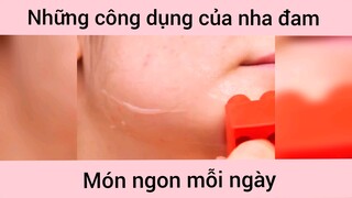 Công dụng của nha đam