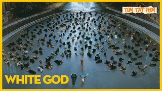 KHI HỮNG CHÚ CHÓ XÂM CHIẾM TRÁI ĐẤT | REVIEWPHIM: WHITE GOD