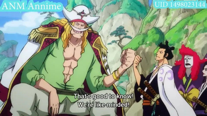 Luffy Dragon Mối Lien Kết Mật Thiết Với Những Trai Ac Quỷ Zoan Thần Anime Schooltime Bilibili