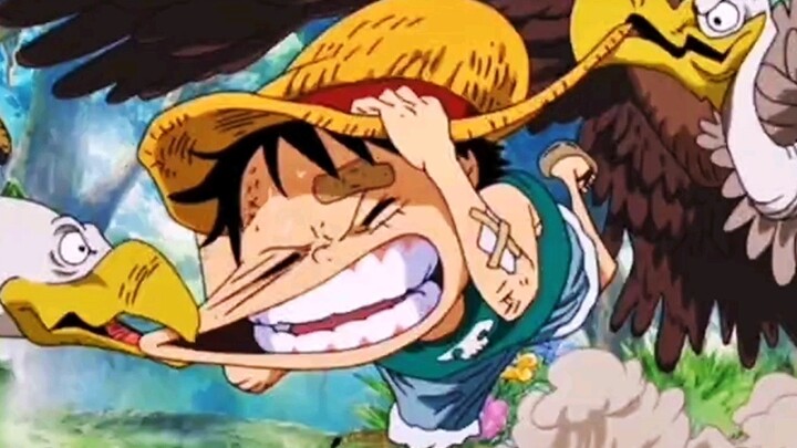 [One Piece] Tiga keajaiban hidup Luffy.