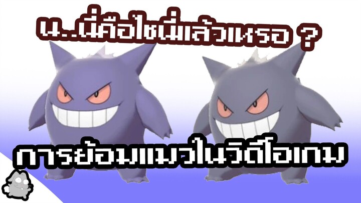 การย้อมแมวในวิดีโอเกม