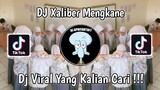 DJ XALIBER MENGKANE TREN KELAS JEDAG JEDUG VIRAL TIK TOK TERBARU 2023 YANG KALIAN CARI !