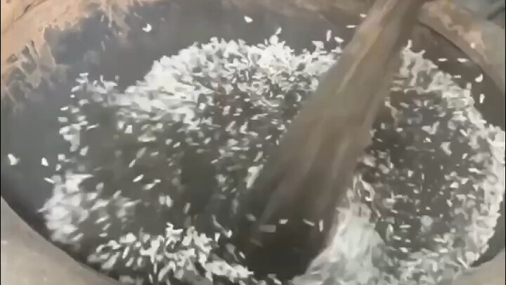 The one that emerges from the black mud without being stained is actually popcorn!