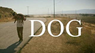 Dog - 2022 HD