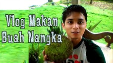 Vlog Momen Ngupas Buas Nangka by Diary Rumahan