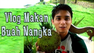 Vlog Momen Ngupas Buas Nangka by Diary Rumahan