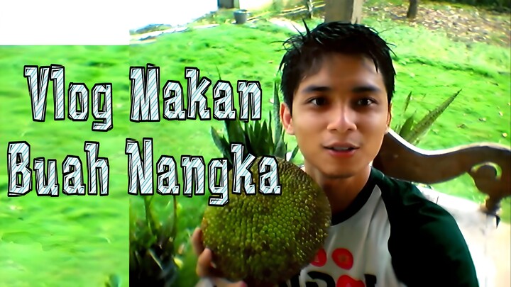 Vlog Momen Ngupas Buas Nangka by Diary Rumahan