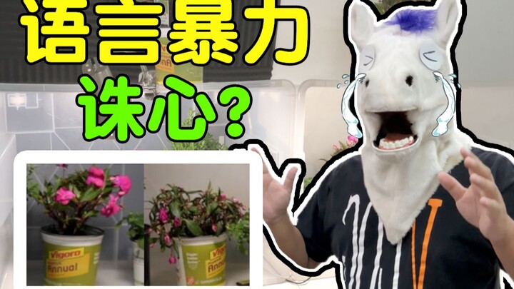 语言暴力到底有多可怕？少一点语言暴力，多一点彩虹屁！