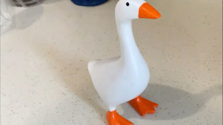 我又又又买了一只离谱的鸭子