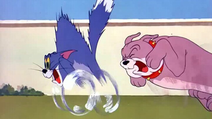 Tom and Jerry (1953) - Episode 076 | That's My Pup!