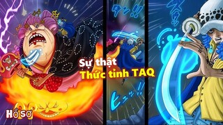 Sự thật về việc thức tỉnh trái ác quỷ