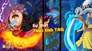 Sự thật về việc thức tỉnh trái ác quỷ