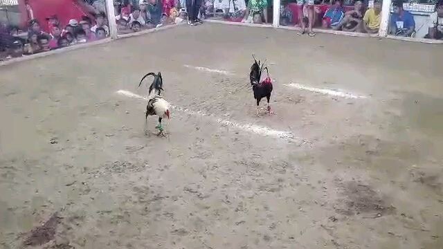 Hackfight Valora, Roxas, Oreintal Mindoro 17/11/2023