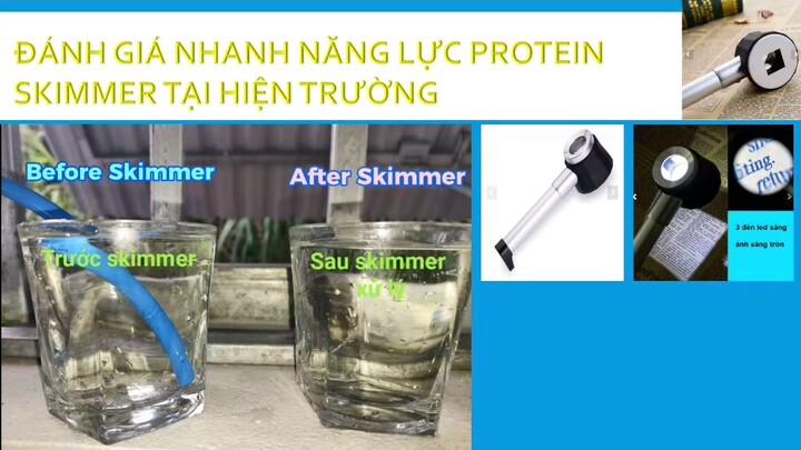 Protein Skimmer 3 m3/h, 30 second contact time.DIY with 220mm UP