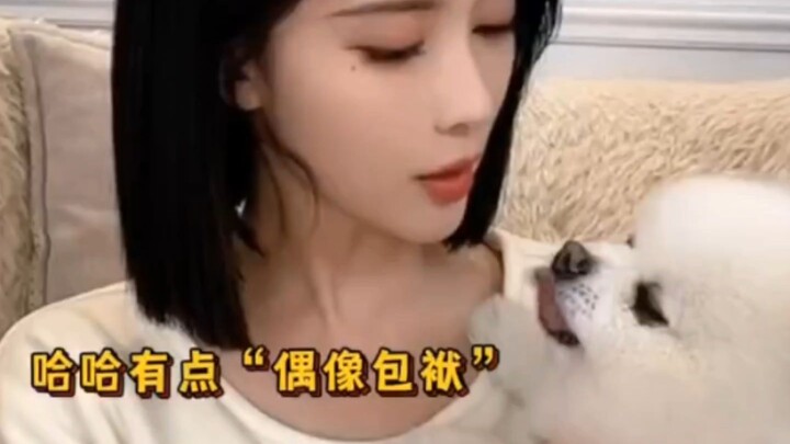 Meng Zi-yi’s dog is full of showmanship.
