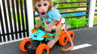 Monkey Baby Bon Bon สั่งมอเตอร์ไซค์แล้วขับไปที่สนามเด็กเล่นกับลูกสุนัข