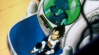 "The person Vegeta trusts the most is Kakarot."